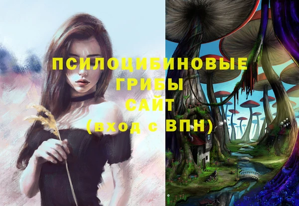 круглые Бородино